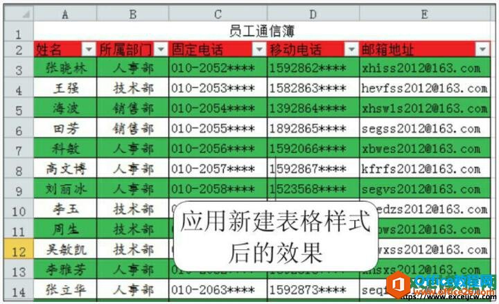 应用新建表格样式后的效果