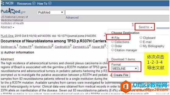 手把手教你快速利用 Endnote 导入文献