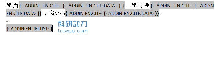 EndNote CWYW 相关设置