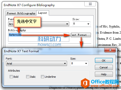 EndNote Configure Bibliography 设置