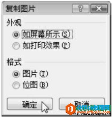 excel2007复制图片对话框