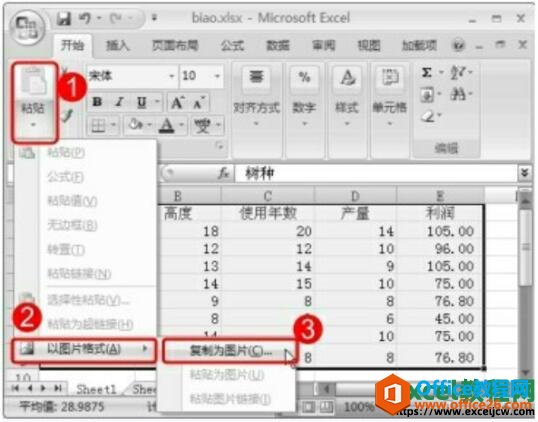 excel2007将表格转换为图片