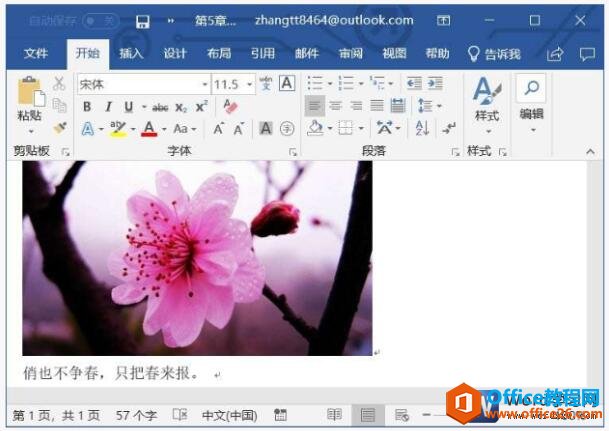 word2019图片文字环绕的方式