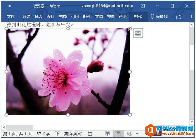 word2019中旋转图片和调整图片大小的方法