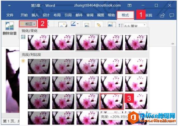 word2019中设置图片的亮度和样式具体的操作方法