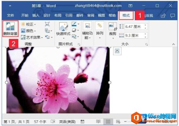 word2019中删除图片背景的功能