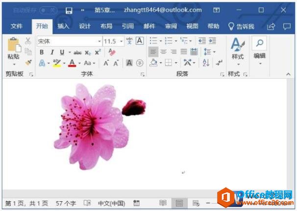 word2019删除图片背景