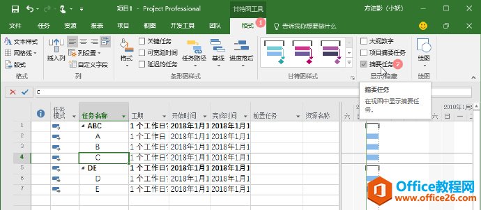 Project 如何显示摘要任务