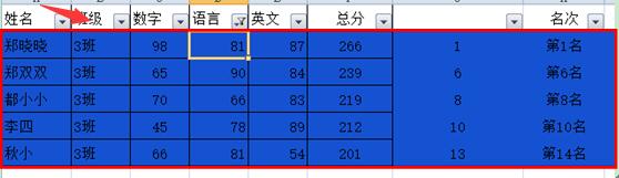 如何用Excel表格筛选带有颜色的数据