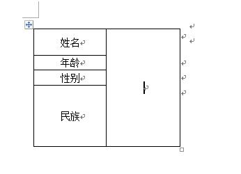 Word表格制作实例详解（二）OFFICE 系列教程 WORD5