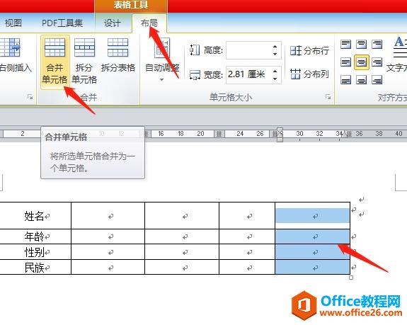 Word表格制作实例详解（二）OFFICE 系列教程 WORD5