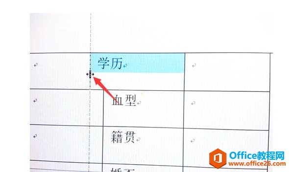 Word表格制作实例详解（三）OFFICE 系列教程 WORD6