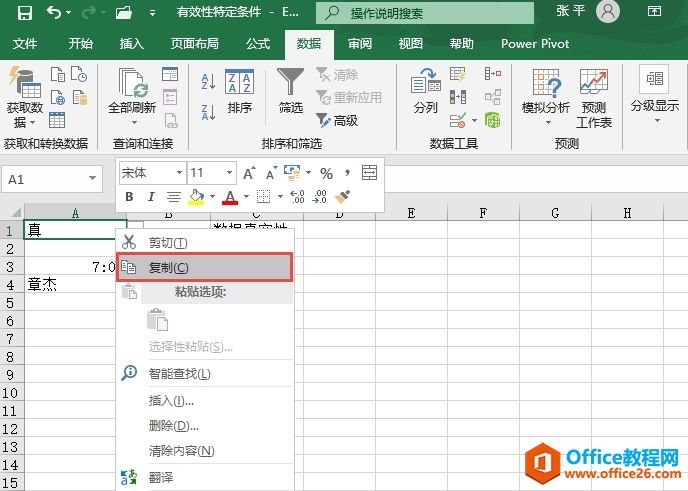 Excel 2019复制数据有效性