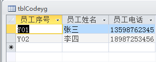 <b>Access2016数据库开发教程5</b>