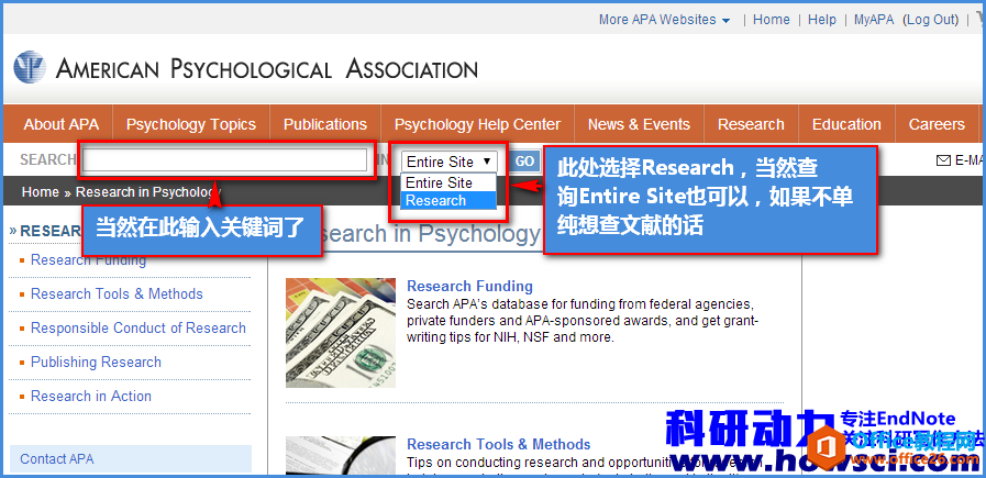 <b>EndNote 如何批量导入APA-American Psych Assn文献</b>