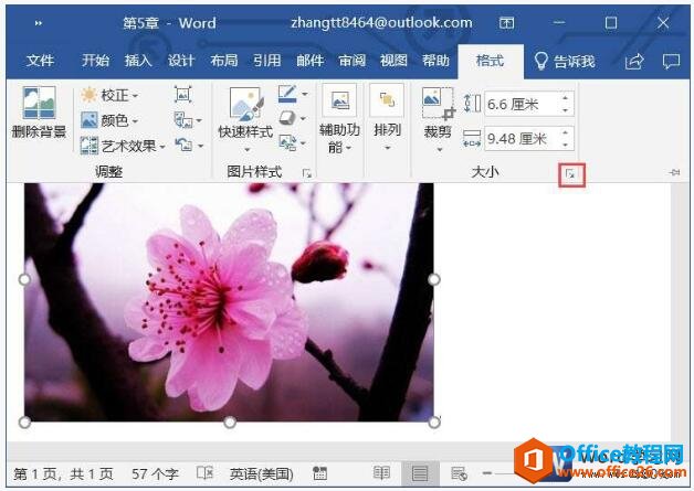 word2019中调整图片大小的方法