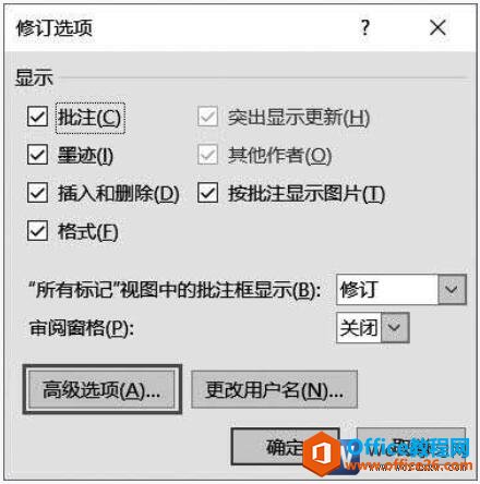 word2019修订选项对话框