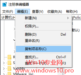 <b>win10如何复制注册表编辑器中某项的路径</b>