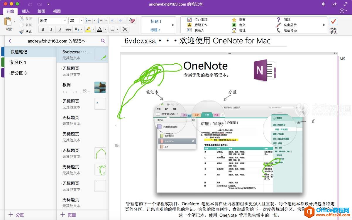 <b>OneNote 如何同时设置中英文字体显示 雅黑+Consolas字体</b>