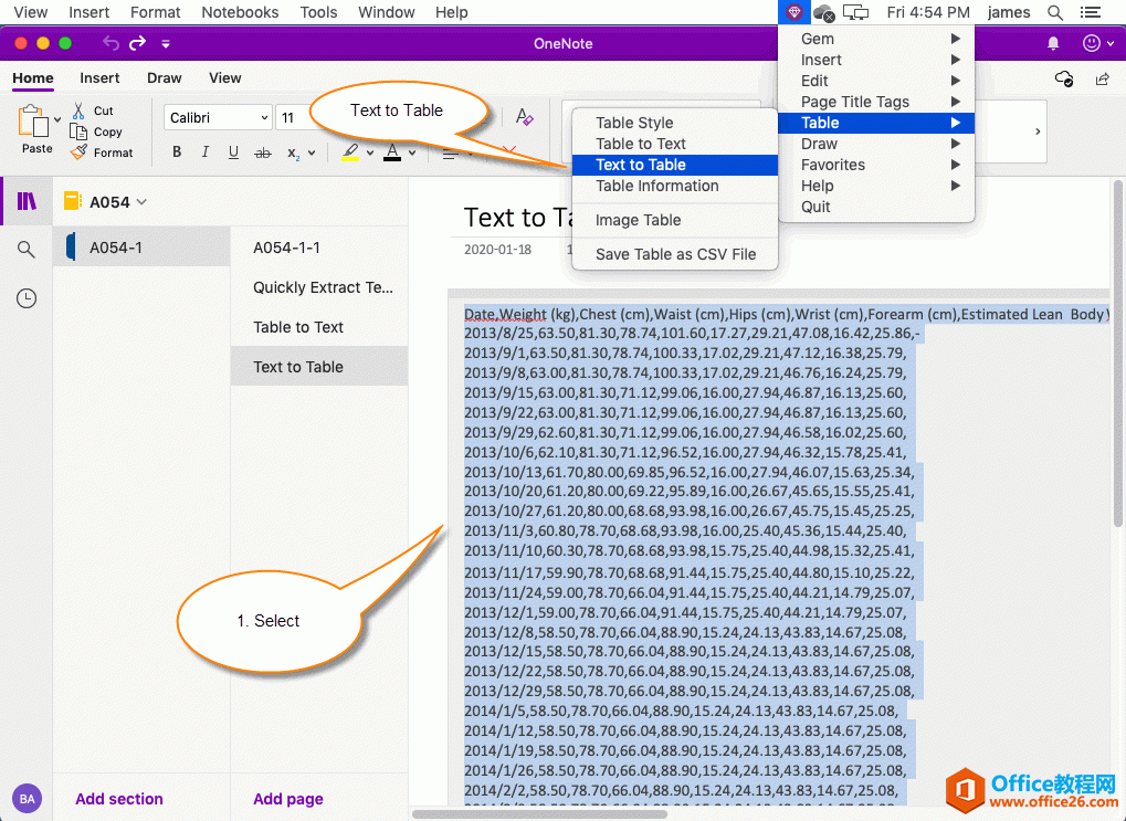 <b>如何在 OneNote 中转换一定格式的文本为表格</b>