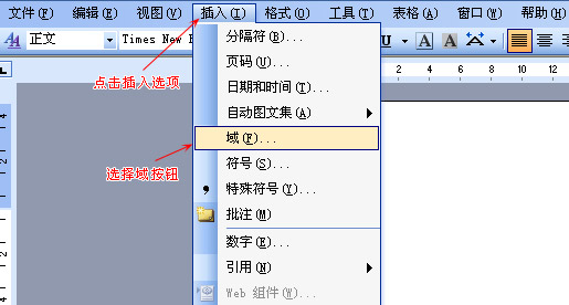 <b>word中分数怎么打</b>