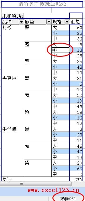 <b>Excel如何快速选择数据透视表中的同类项</b>