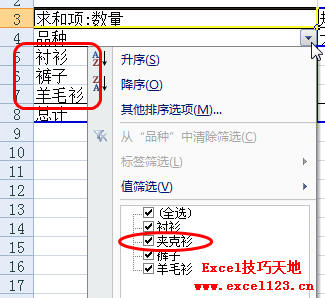 <b>Excel数据透视表使用技巧：不保留数据源删除项目</b>