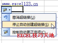 <b>Excel在单元格中输入网络地址时不自动转换为超链接</b>