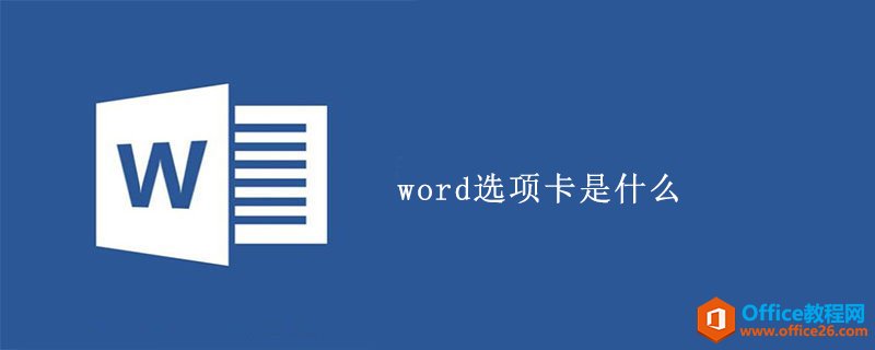 <b>word选项卡是什么</b>