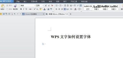 <b>WPS文字中怎么设置字体的大小</b>